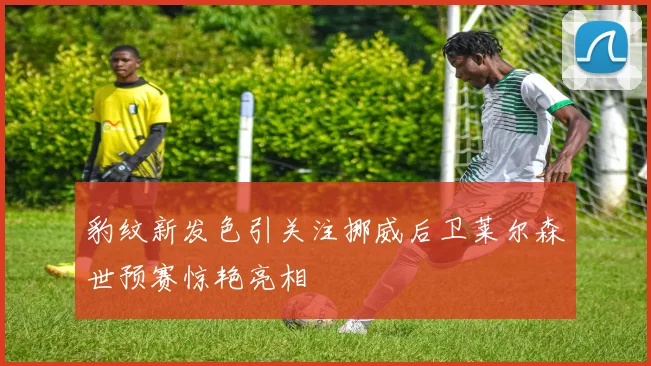 豹纹新发色引关注挪威后卫莱尔森世预赛惊艳亮相
